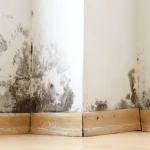 Does Cavity Wall Insulation Cause Damp?