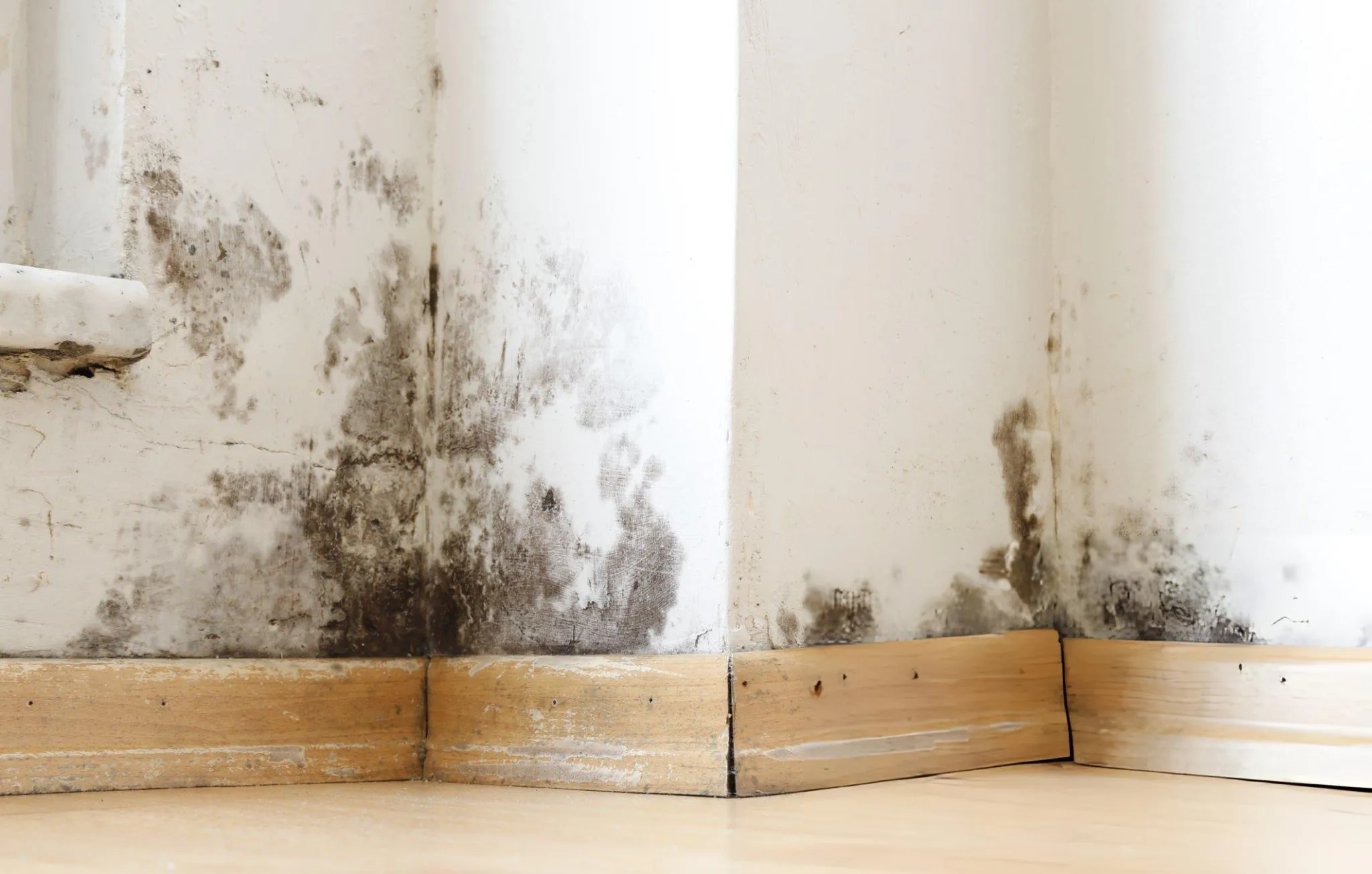 Does Cavity Wall Insulation Cause Damp